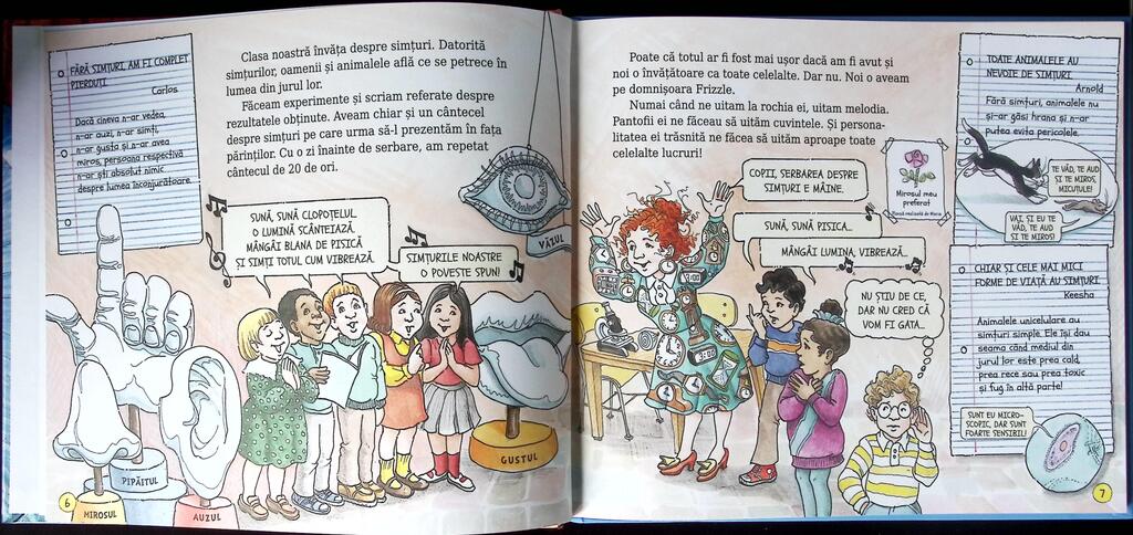 AUTOBUZUL MAGIC SIMȚURI - imagine 3