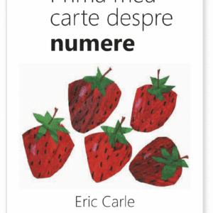 PRIMA MEA CARTE DESPRE NUMERE