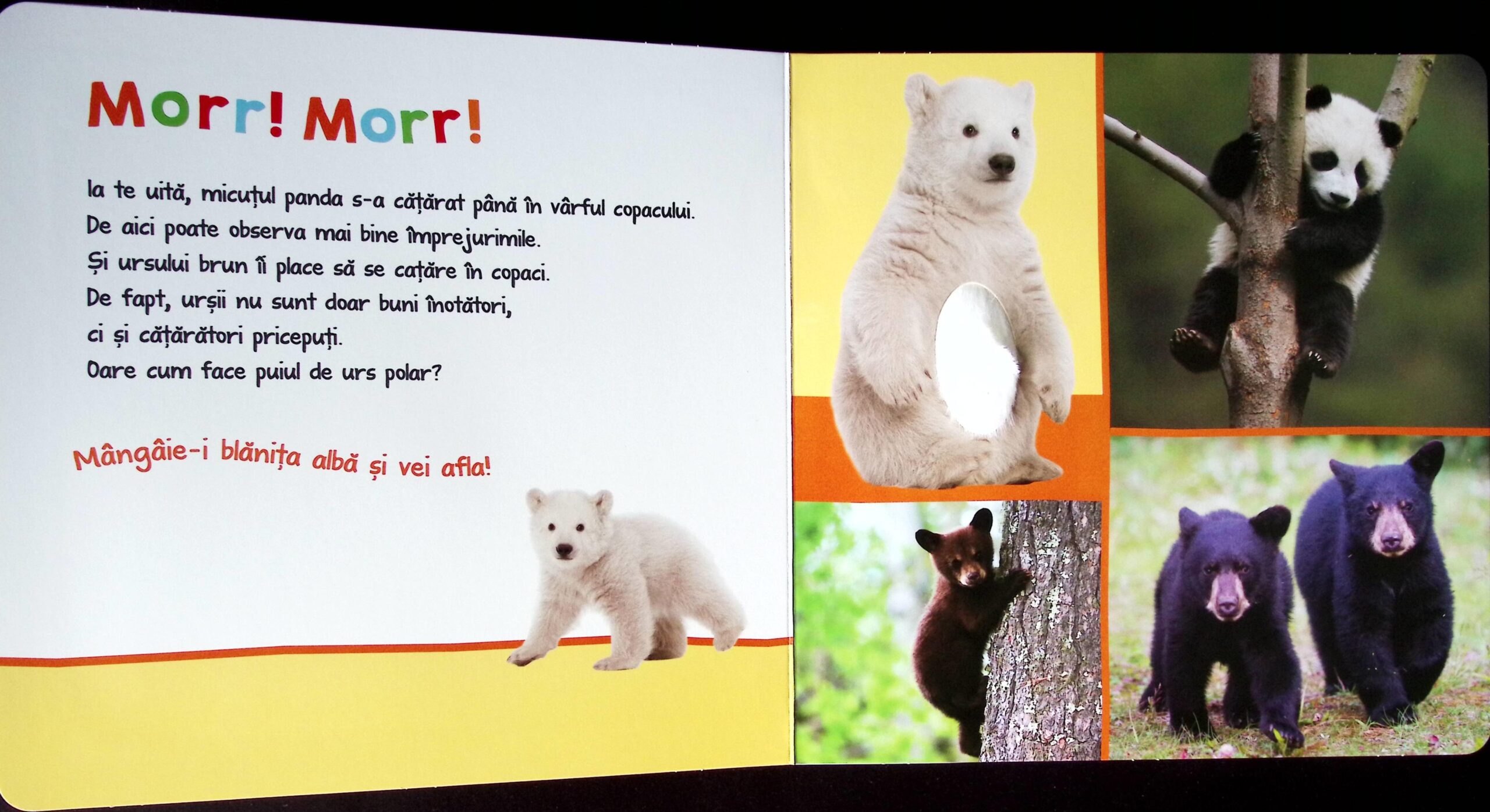 ASCULTAȚI, COPII, OARE CINE POATE FI? ANIMALE PUFOASE - imagine 2