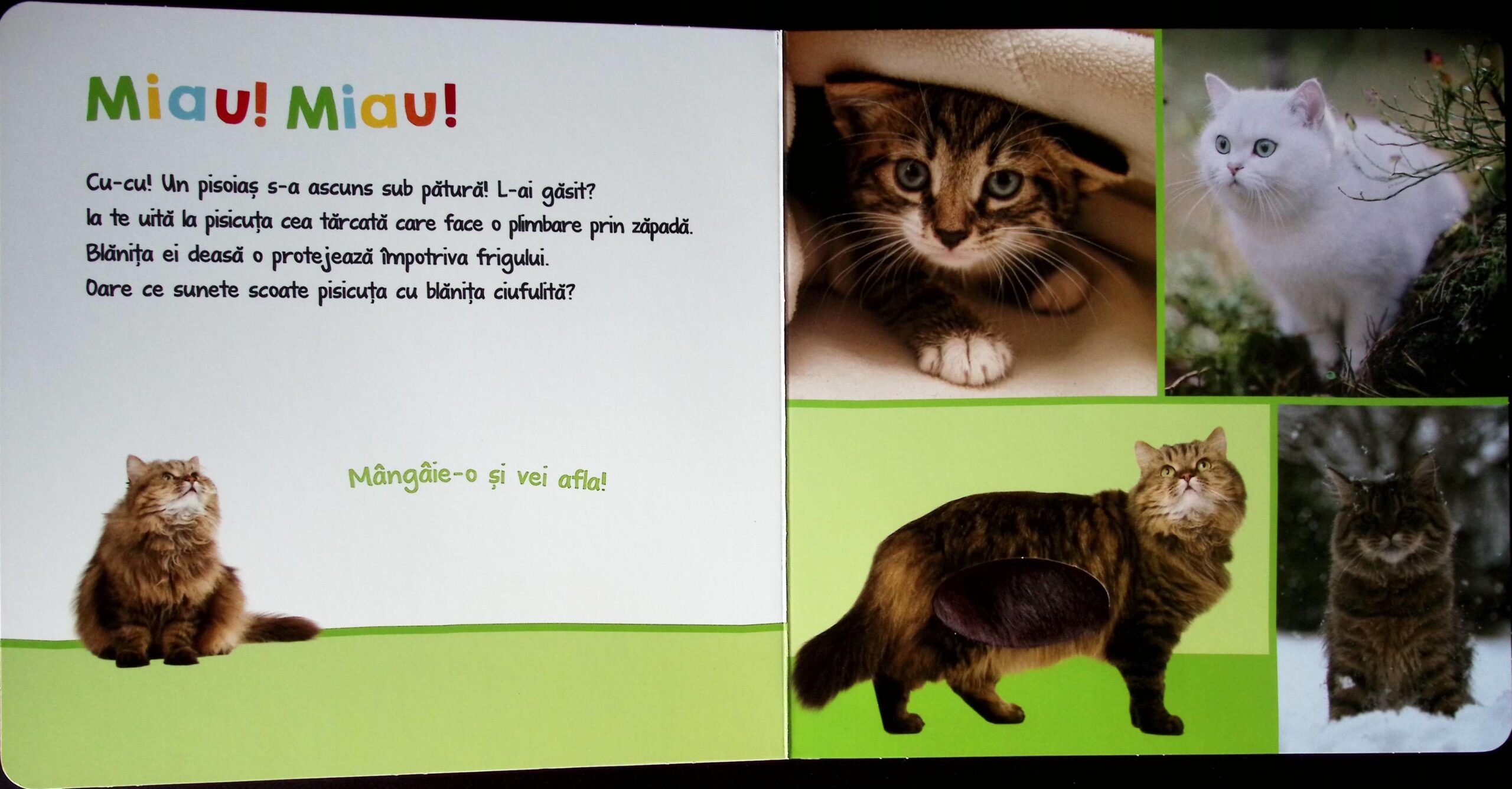 ASCULTAȚI, COPII, OARE CINE POATE FI? ANIMALE PUFOASE - imagine 3