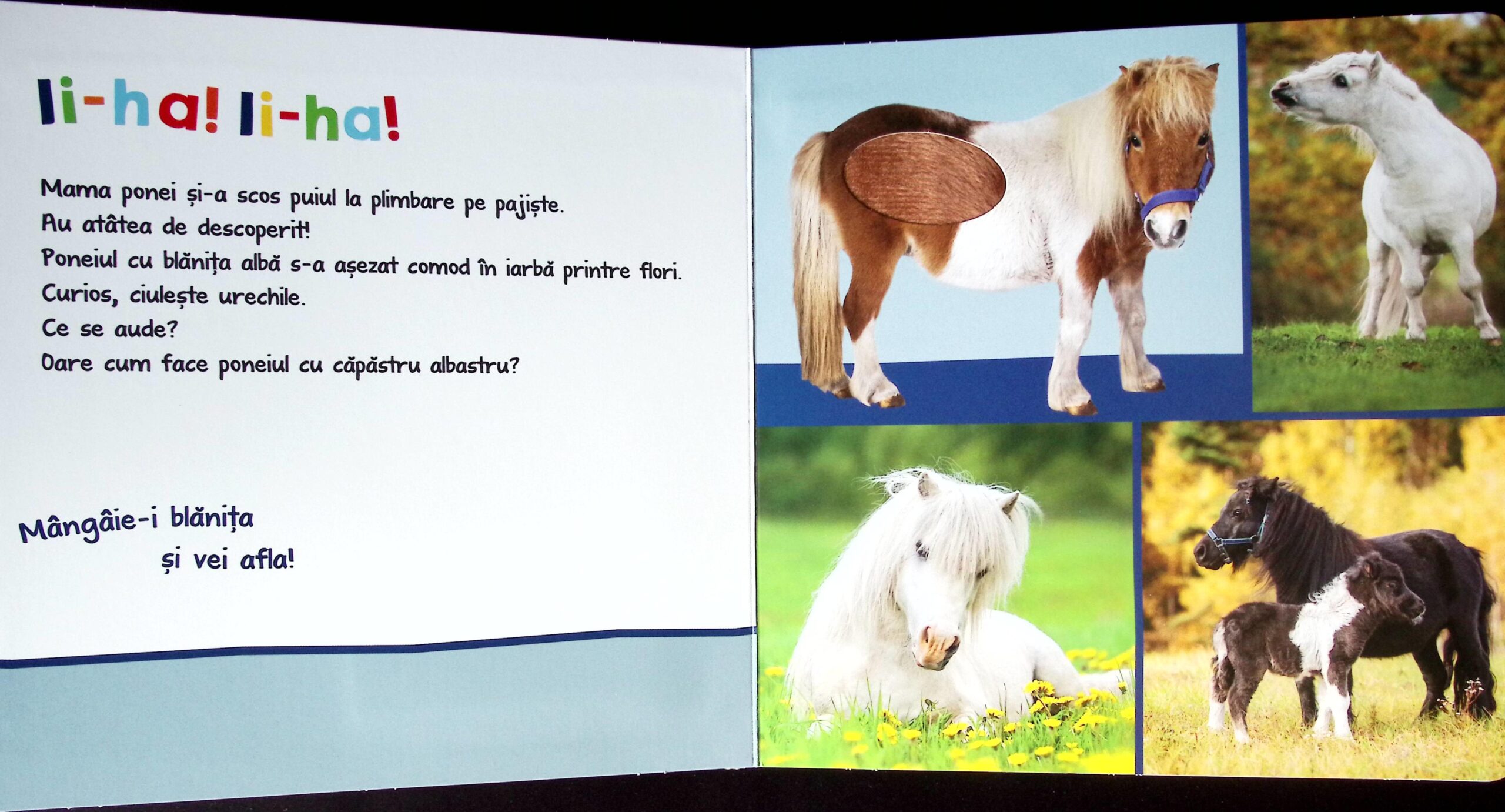ASCULTAȚI, COPII, OARE CINE POATE FI? ANIMALE PUFOASE - imagine 4