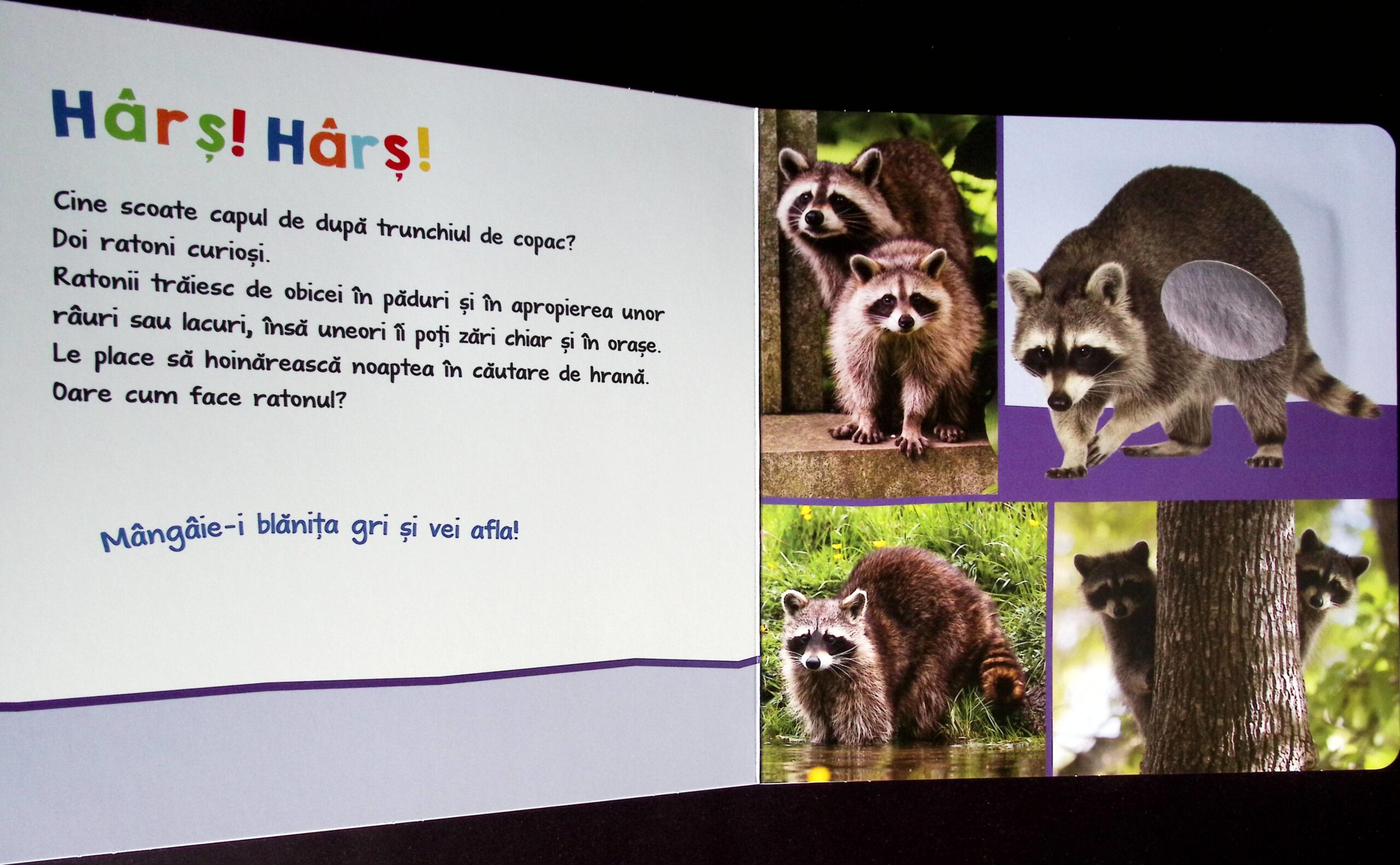 ASCULTAȚI, COPII, OARE CINE POATE FI? ANIMALE PUFOASE - imagine 5