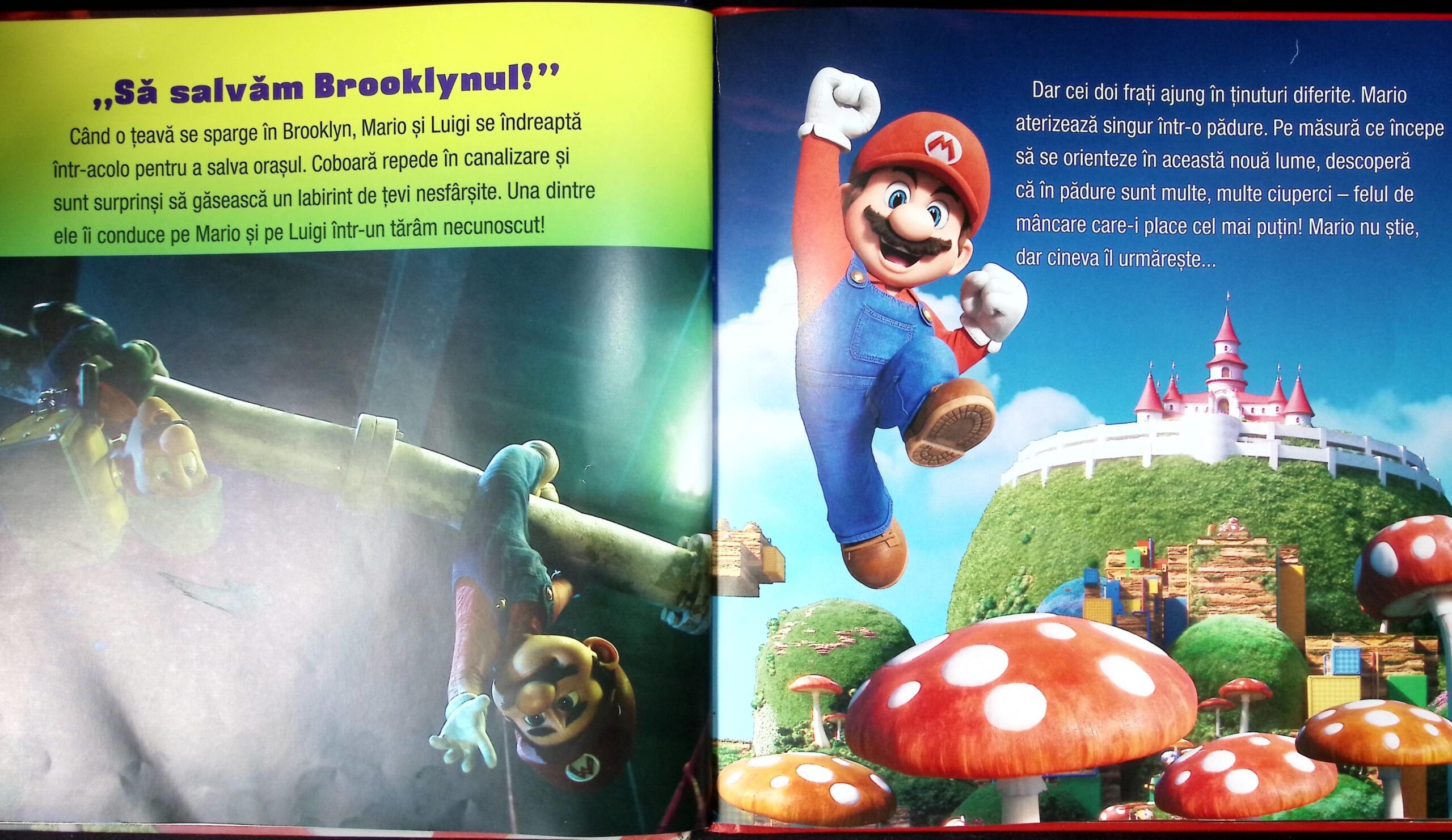 MARIO ÎN REGATUL CIUPERCILOR - imagine 3