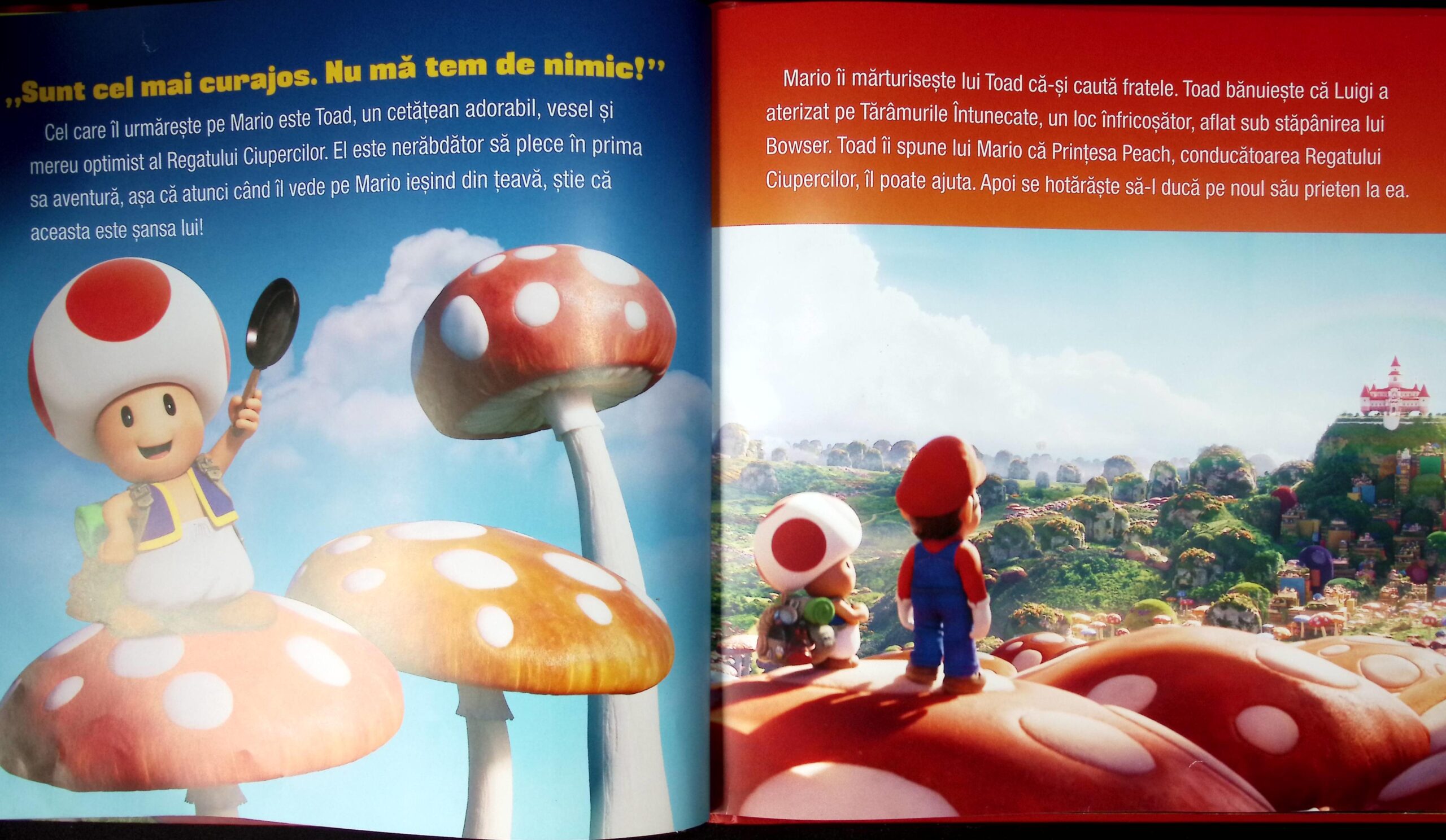 MARIO ÎN REGATUL CIUPERCILOR - imagine 4